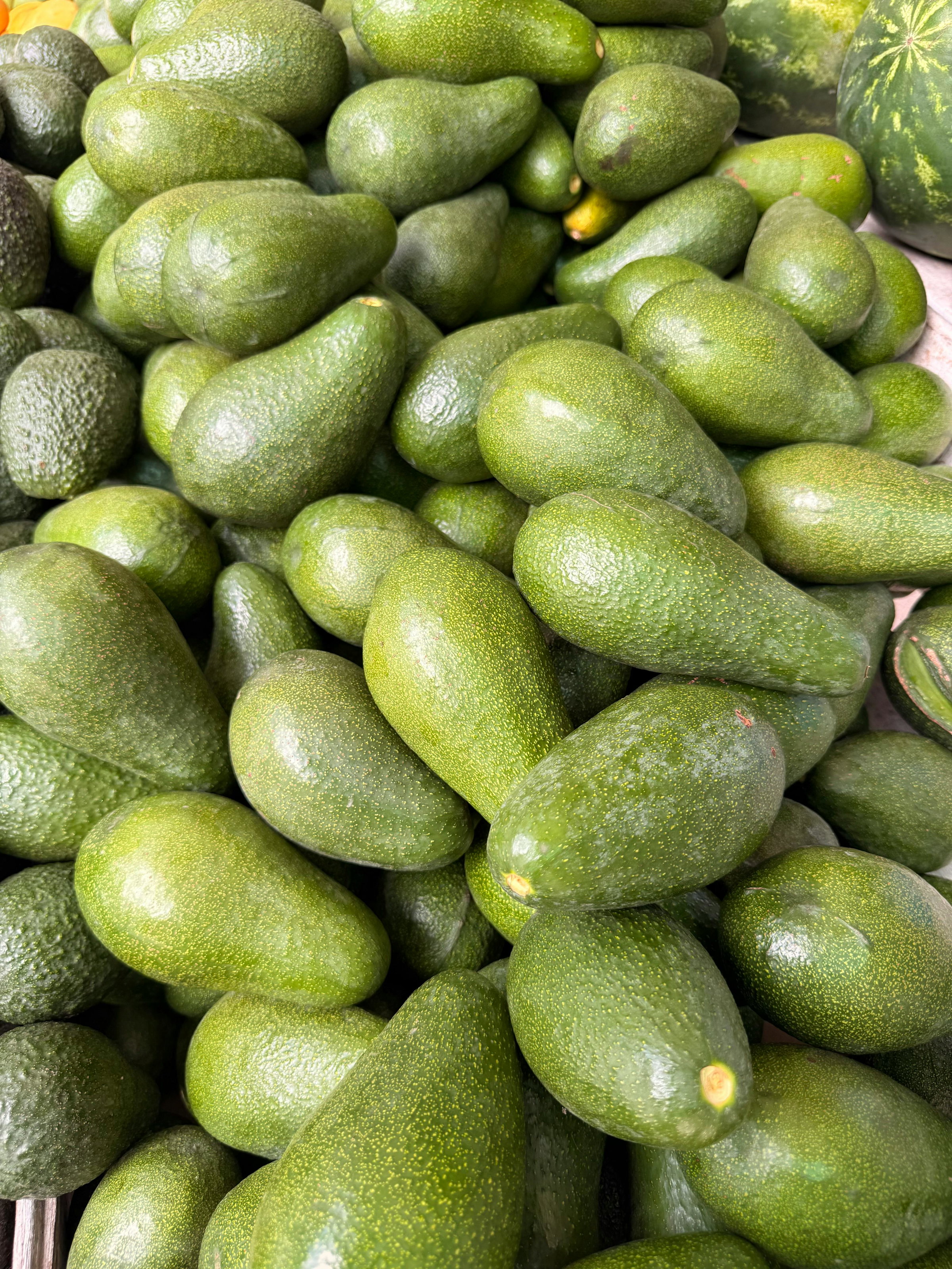 Avocado