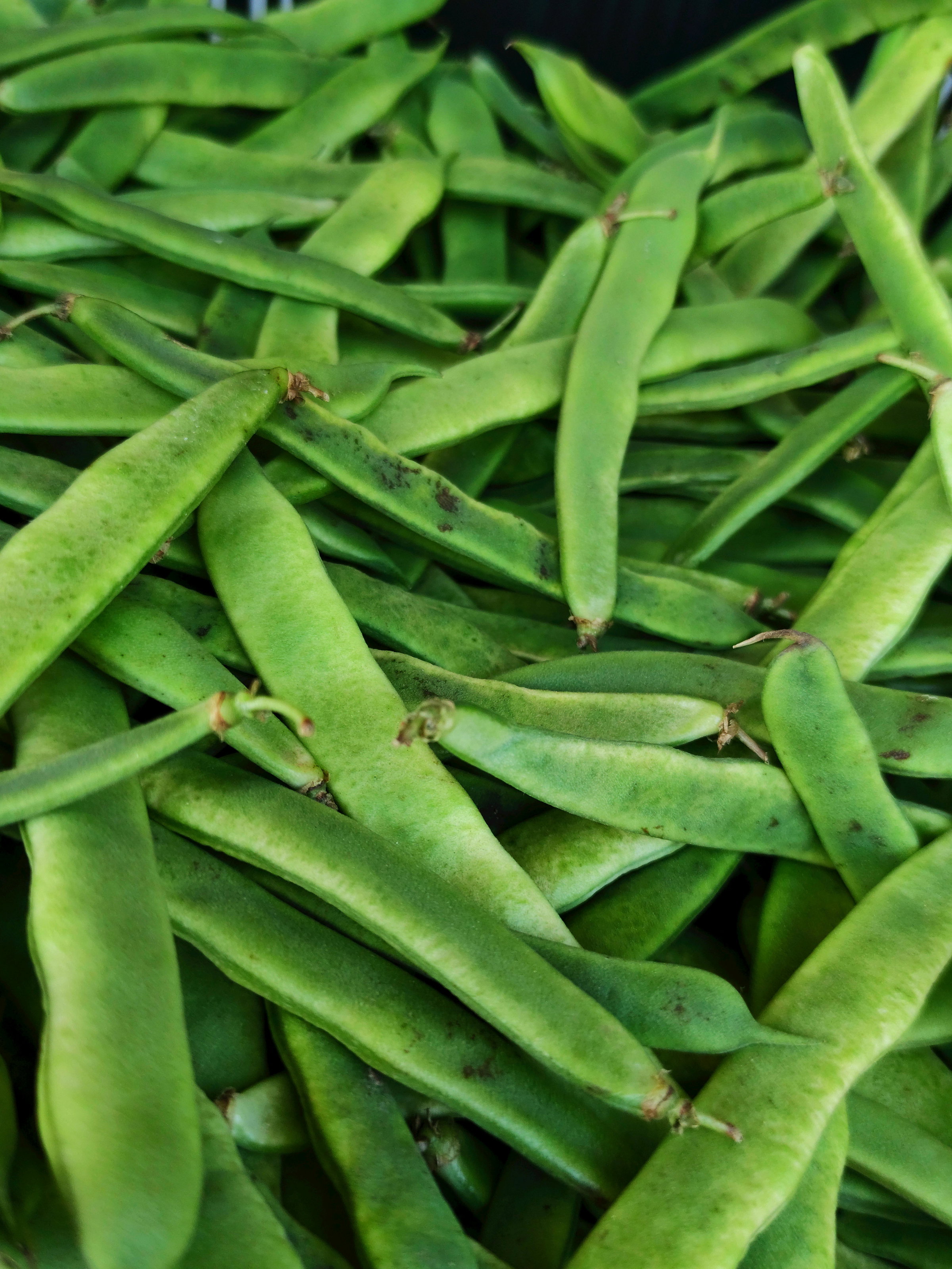 French Beans