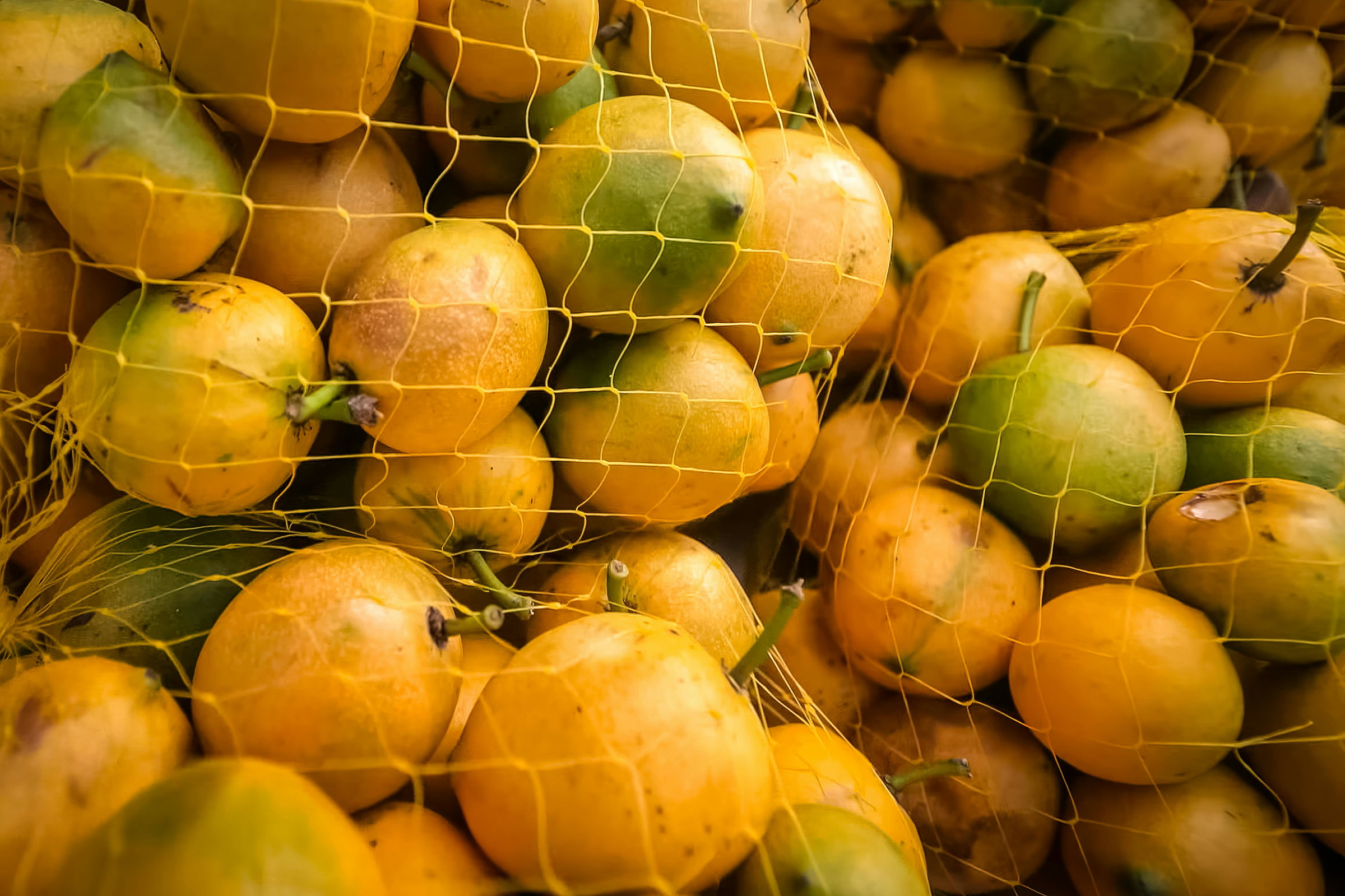Passion Fruit