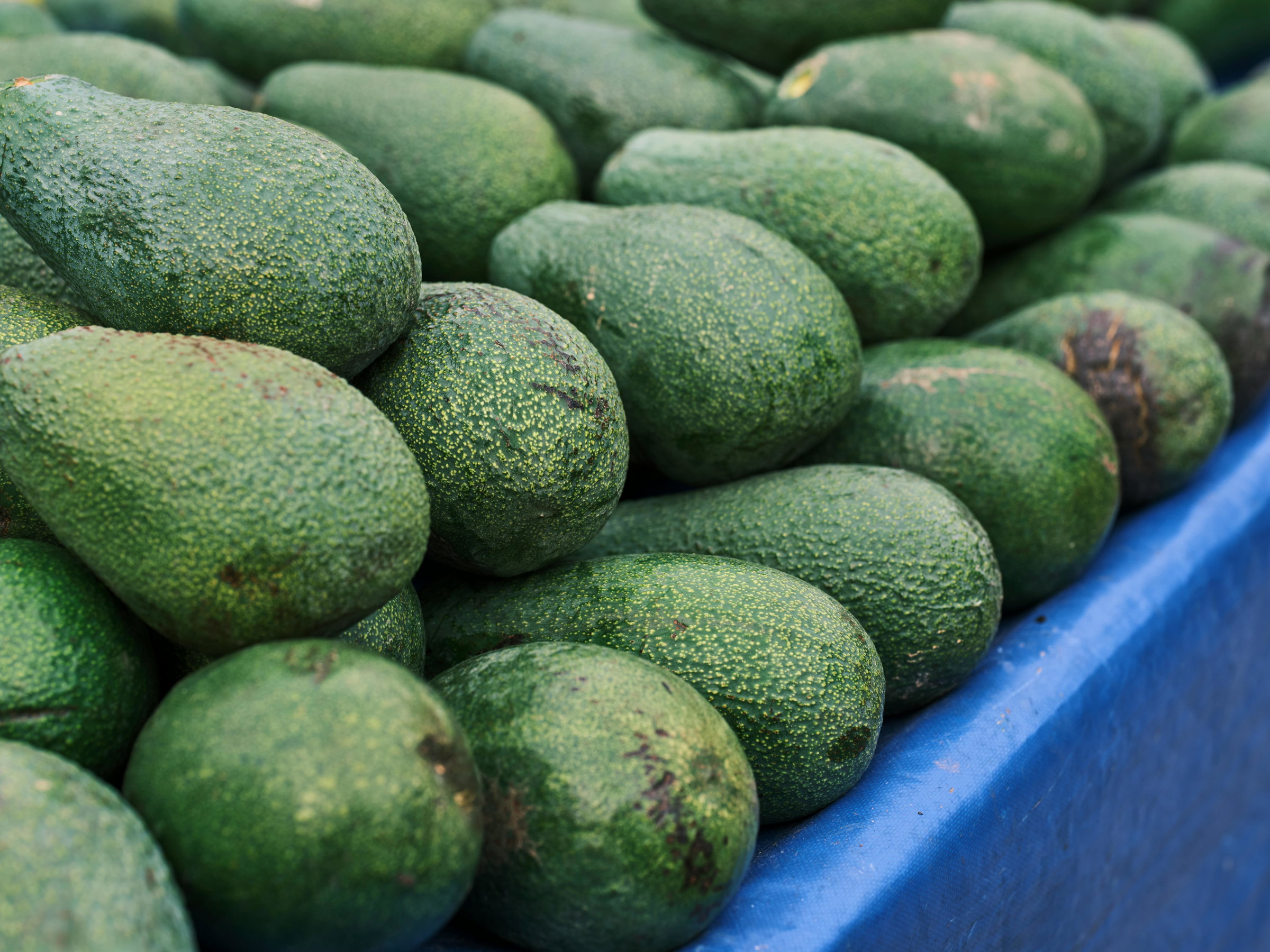 Fresh produce handling