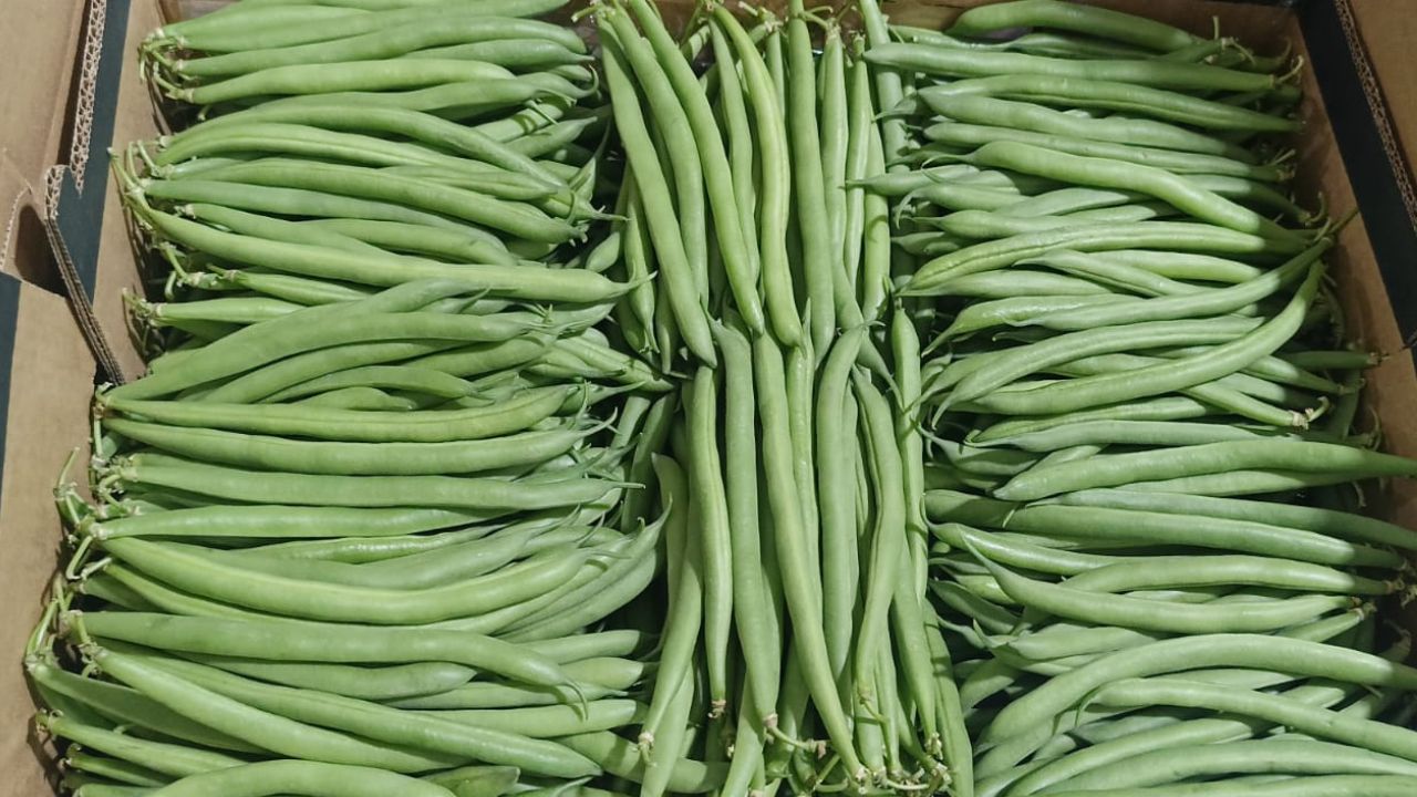 Produce handling